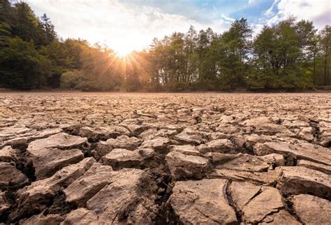 Illustration d'un sol argileux fissuré par la sécheresse