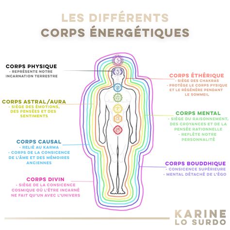 schéma illustrant les zones énergétiques du corps humain souvent ciblées par le magnétisme
