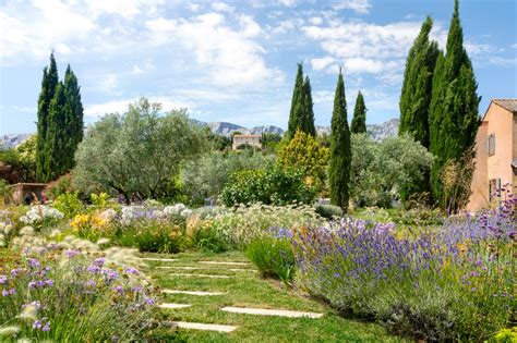 vue d'ensemble d'une jardinerie locale avec des variétés adaptées au climat méditerranéen