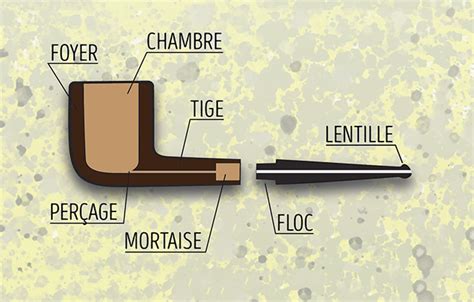 une infographie montrant les différentes parties d'une serfouette et de ses usages multiples