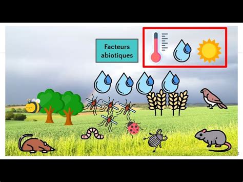 Diagramme illustrant les facteurs abiotiques affectant le gazon