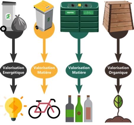 Schéma des différentes options de valorisation des déchets verts