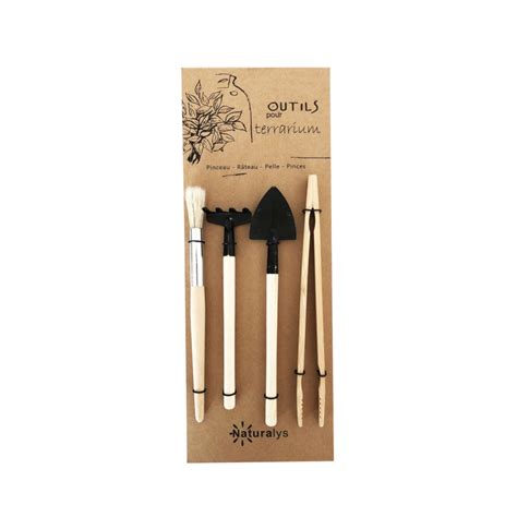 Outils d'entretien pour terrarium