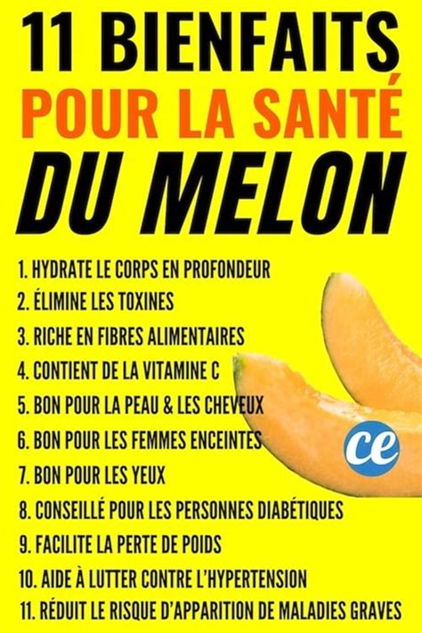 Infographie des bienfaits du melon pour la santé