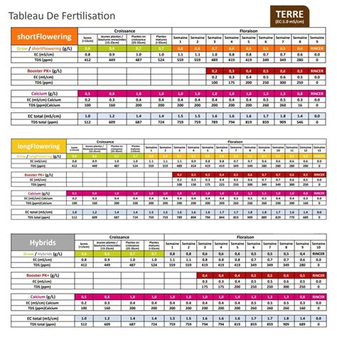 Calendrier de fertilisation des conifères