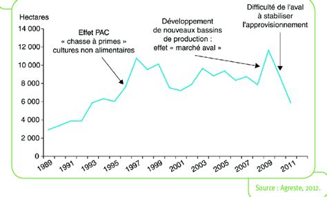 Graphique montrant l'évolution de la surface cultivée en groseilles biologiques en France