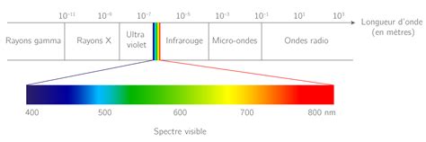 Schéma illustrant le spectre lumineux (bleu pour la croissance, rouge pour la floraison, vert pour la photosynthèse globale)