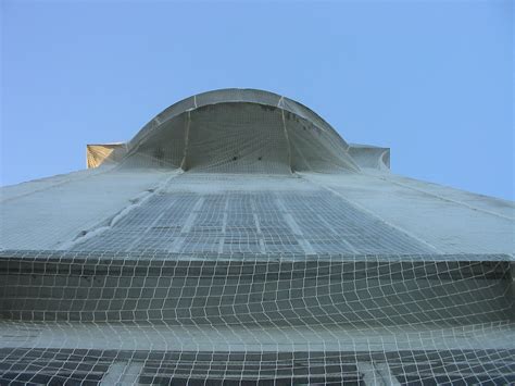 Installation d'un filet de protection sur un cerisier