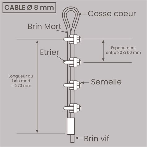 Schéma de structure de verger avec câbles et bâches anti-pluie