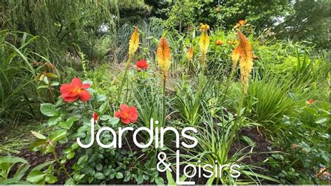 Installation sécurisée de plantes grasses dans un enclos