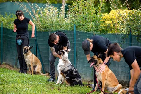 Propriétaire de chien recevant des conseils d'un comportementaliste