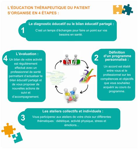Schéma des étapes de l'éducation canine