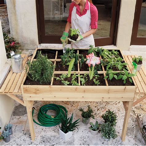 Illustration d'une encyclopédie de jardinage ouverte sur une table de jardin avec des outils