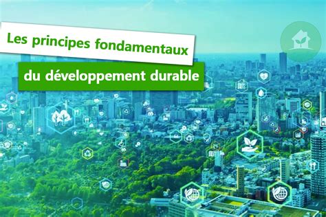 Infographie montrant la relation entre le jardinage durable et l'accès à l'information