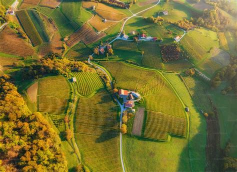 Vue aérienne d'une ferme en permaculture intensive