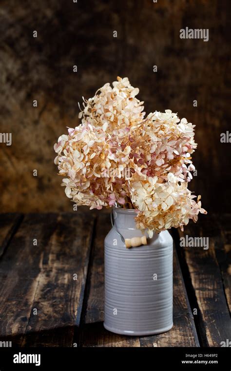 Bouquet d'hortensias séchés dans un vase rustique