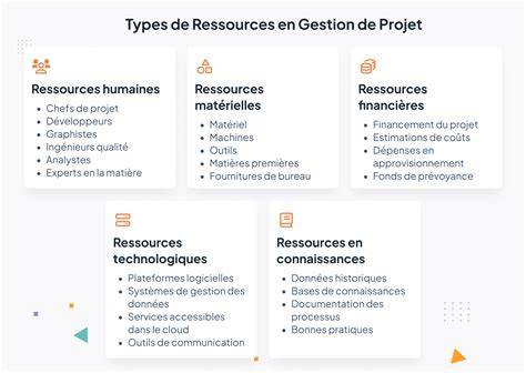 Schéma des types de ressources et leur rareté