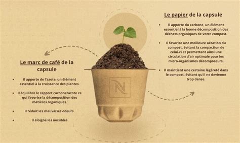 Schéma de décomposition d'une capsule compostable