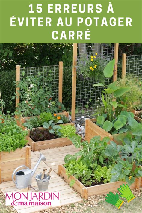 Infographie des erreurs à éviter au potager