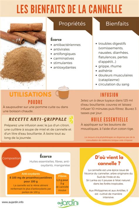 Infographie comparant les avantages du miel, de la cannelle et de l'aspirine pour le bouturage