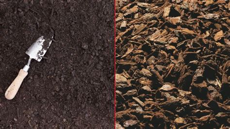 Différence entre BRF et mulch de feuillus