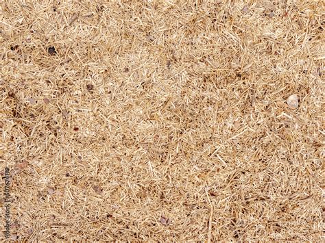 Photo comparative de paillettes de lin et de chanvre