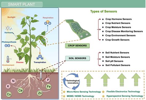 Infographic: key parameters measured by plant sensors (light, temp, humidity, nutrients)