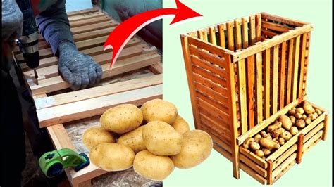 Stockage des pommes de terre en cave