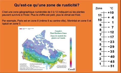 Tableau de rusticité des plantes