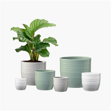 Collection variée de cache-pots