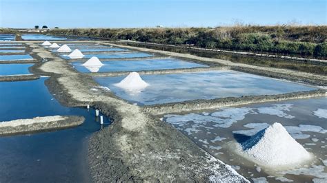 Marais salants avec des mulons de sel