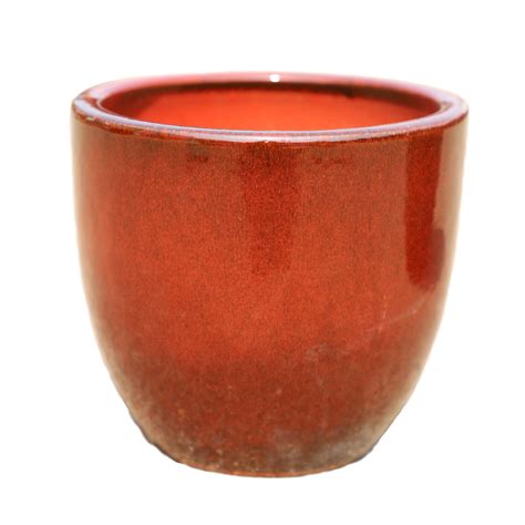 Image d'un pot de bonsaï résistant au gel