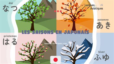 Tableau des besoins en lumière de l'érable du Japon selon les saisons