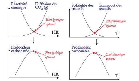 Schéma illustrant l'influence de la température et de l'humidité sur le taux de germination des graines au fil du temps