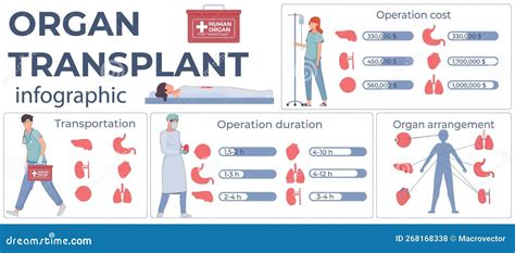 Illustration des différentes étapes de la transplantation d'un arbuste