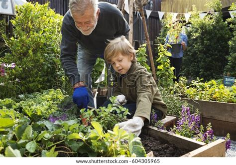 personnes discutant et jardinant ensemble dans un jardin inclusif