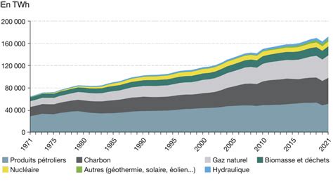 Graphique montrant l'étiolement d'une plante face au manque de lumière