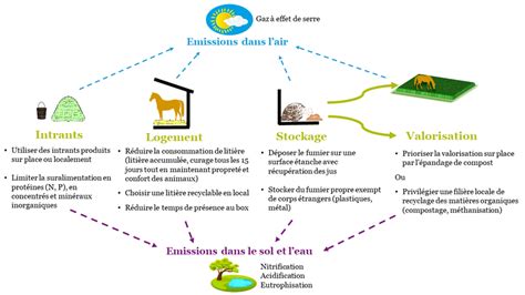 Infographie sur les différentes voies de valorisation du fumier équin