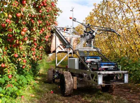 Concept de robot autonome pour la récolte de betteraves dans un champ