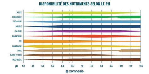 Graphique montrant l'influence du pH sur la disponibilité des nutriments