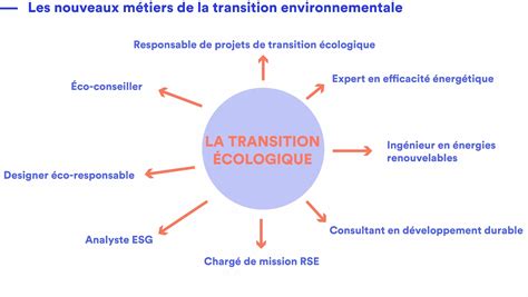 Schéma illustrant la transition nette entre une pelouse et un massif fleuri