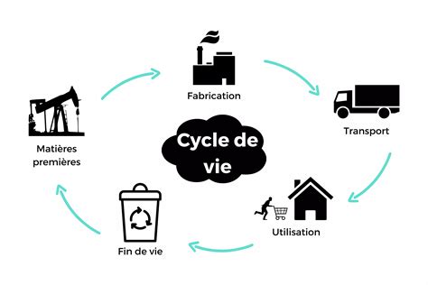 Schéma illustrant le cycle de vie des moucherons dans un environnement de compostage domestique