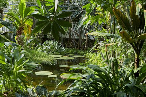 Serre de conservation pour les plantes saisies par les autorités