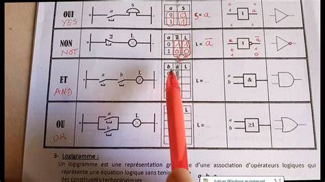 Schéma comparatif : La logique du figuier (apparence) vs la logique du don (fruit)