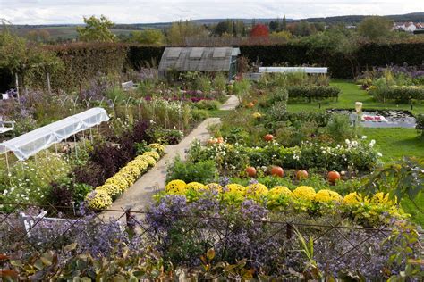 Plan des Jardins Fruitiers de Laquenexy