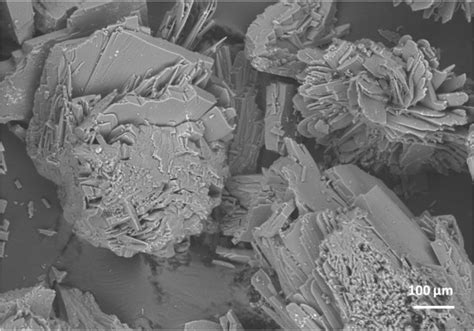 Microscopie électronique à balayage d'une structure cristalline
