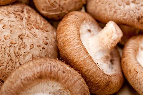 Shiitake frais prêts à être cuisinés