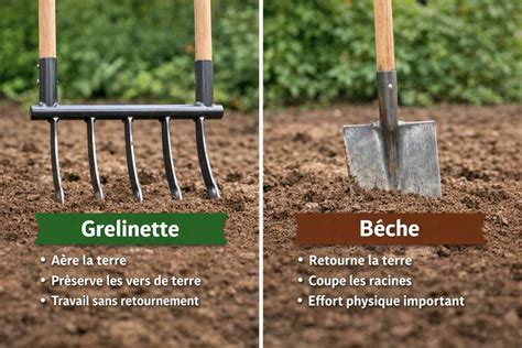 Illustration comparative de la bêche et de la grelinette