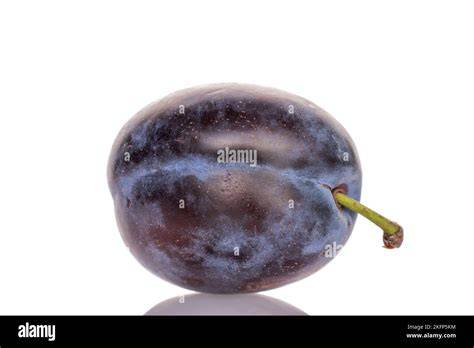 Gros plan sur une prune domestique avec sa pruine