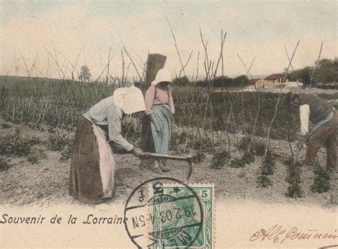 Travail manuel dans les champs au début du XXe siècle